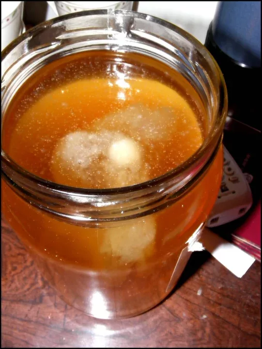 kombucha - thé fermenté avec levures