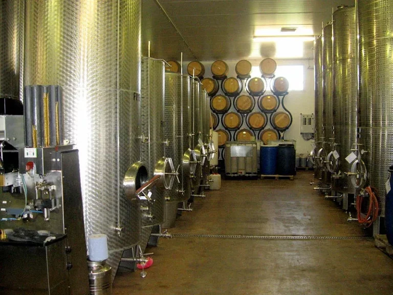 vinification fermentation