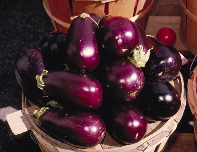 aubergines