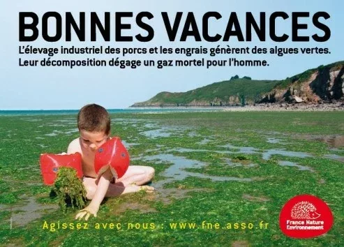 bonnes-vacances-fne