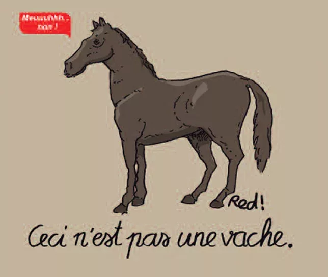 campagne_ape_elevage_visuel_cheval