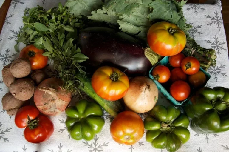 panier de légumes claude aubert expression d'intérêt collectif