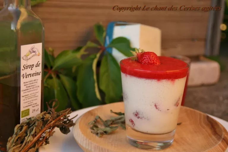 panna_cotta_fraise_sirop_de_verveine_-_noemie_gazza