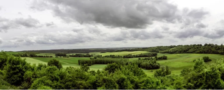 agroforesterie- credit Yann Caradec