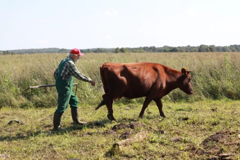 Good things await - festival international du film d'environnement