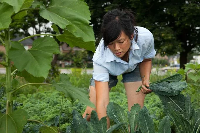 femmes pour la planète marie monique robin film