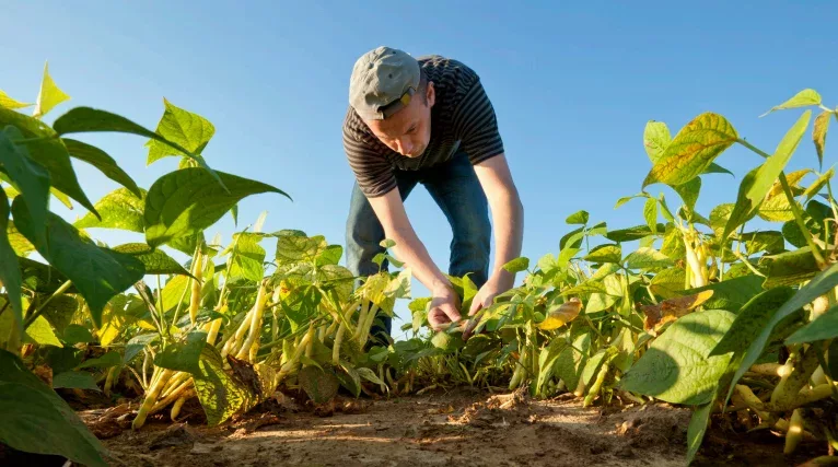 agriculteur_bio_credit_usda