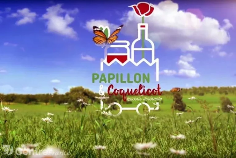 papillon_et_coquelicot_image