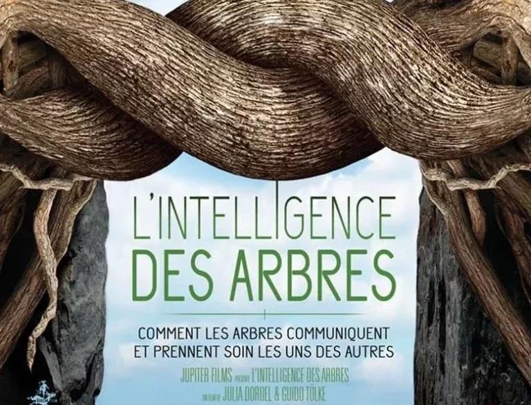 intelligence_des_arbres