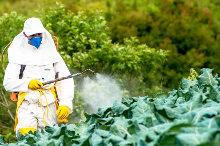 le-senat-approuve-lindemnisation-des-victimes-de-pesticides