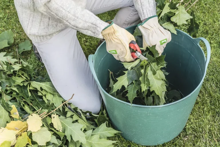 semaine-pour-les-alternatives-aux-pesticides-top-3-des-engrais-naturels-faits-maison