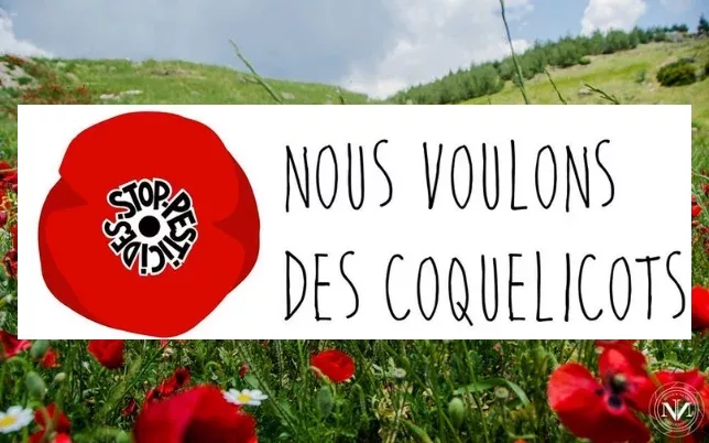 L'appel des coquelicots