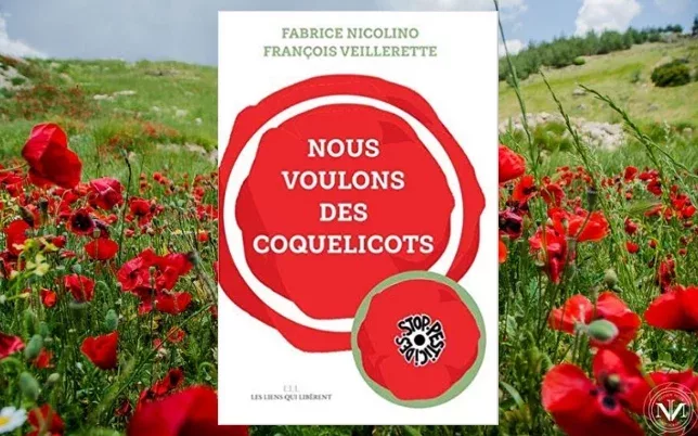 coquelicots_1