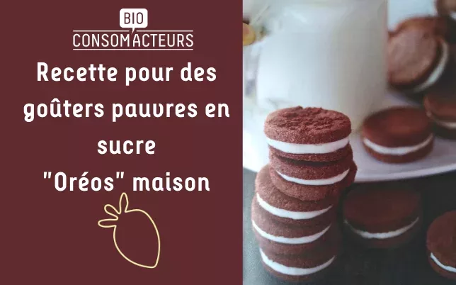 copie_de_oreos_maisons_par_ptits_dej_et_gouters_pauvres_en_sucre_
