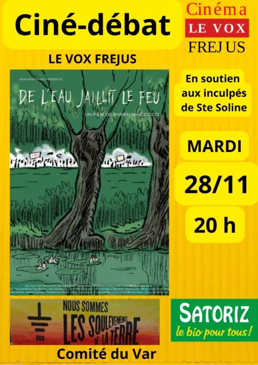 affiche_dljlf_28_11_v3