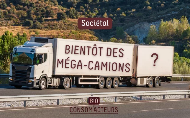 camion